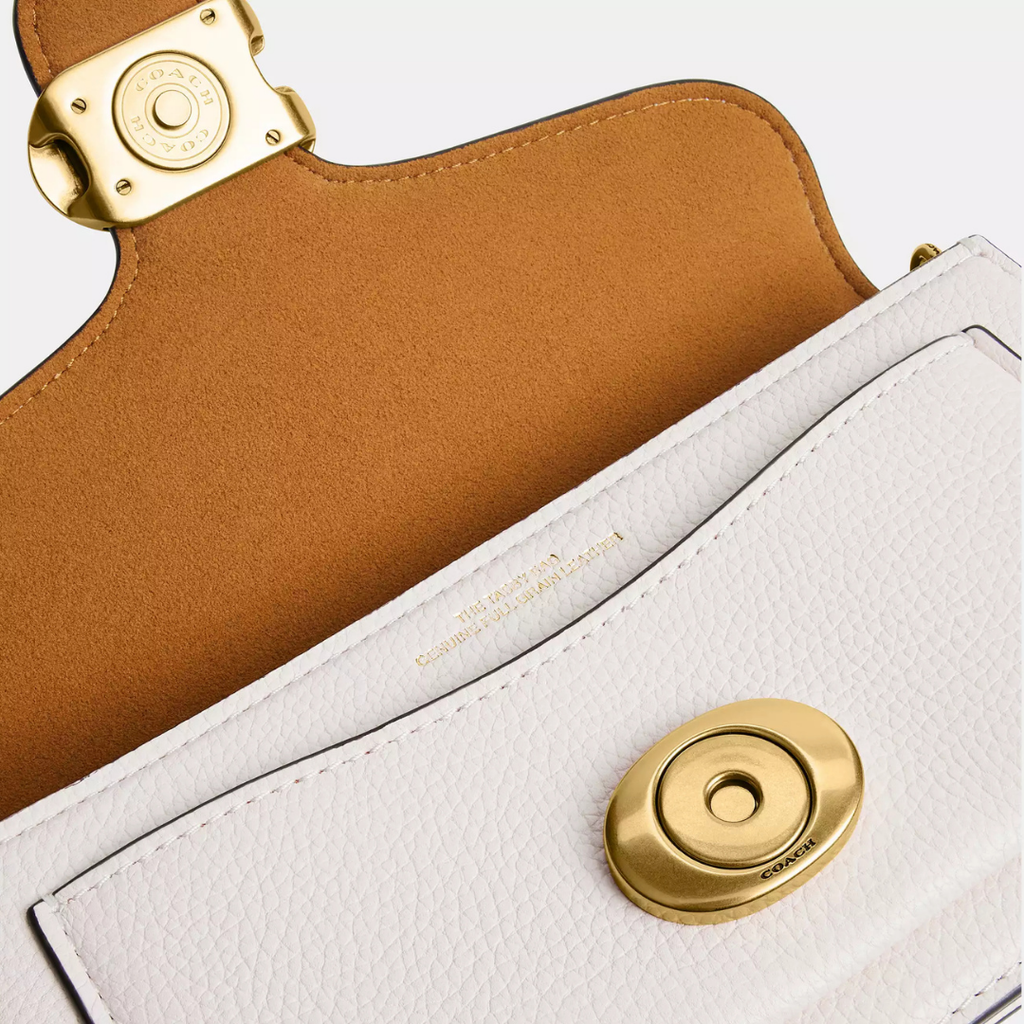 Tabby Chain Crossbody Bag 19